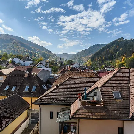 Sun Villa Brasov